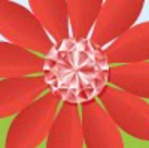 Meet your Posher, Angelina